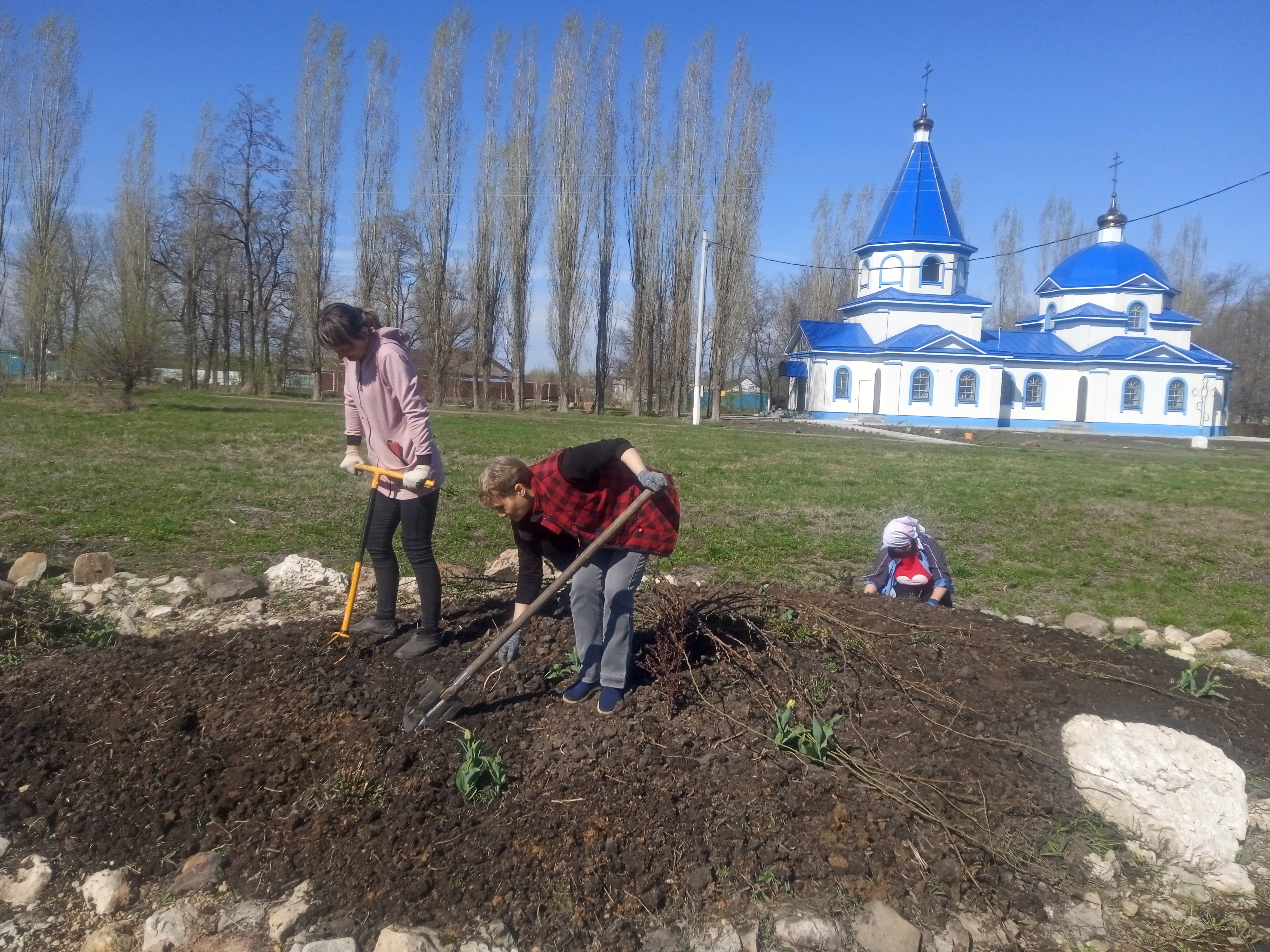 Привели в порядок цветники.