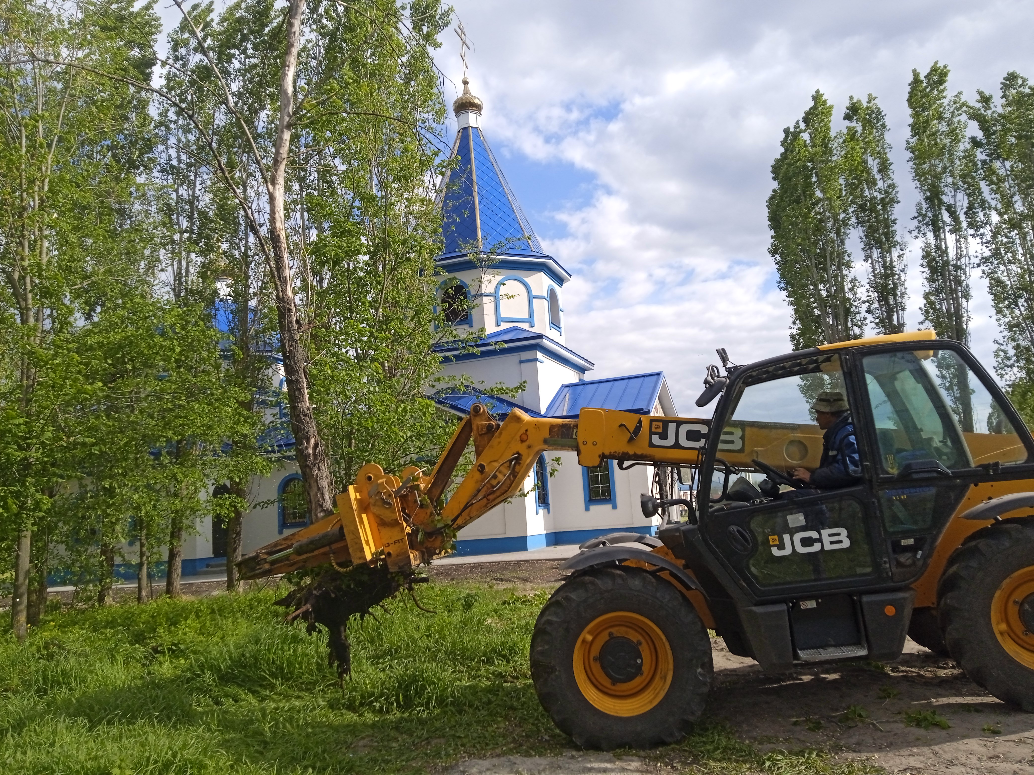 Раскорчевка старых тополей.