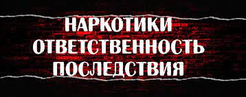 Ответственность за незаконный ввоз в страну наркотиков.